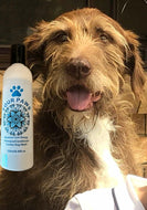 Four Paws Combo Dog Wash